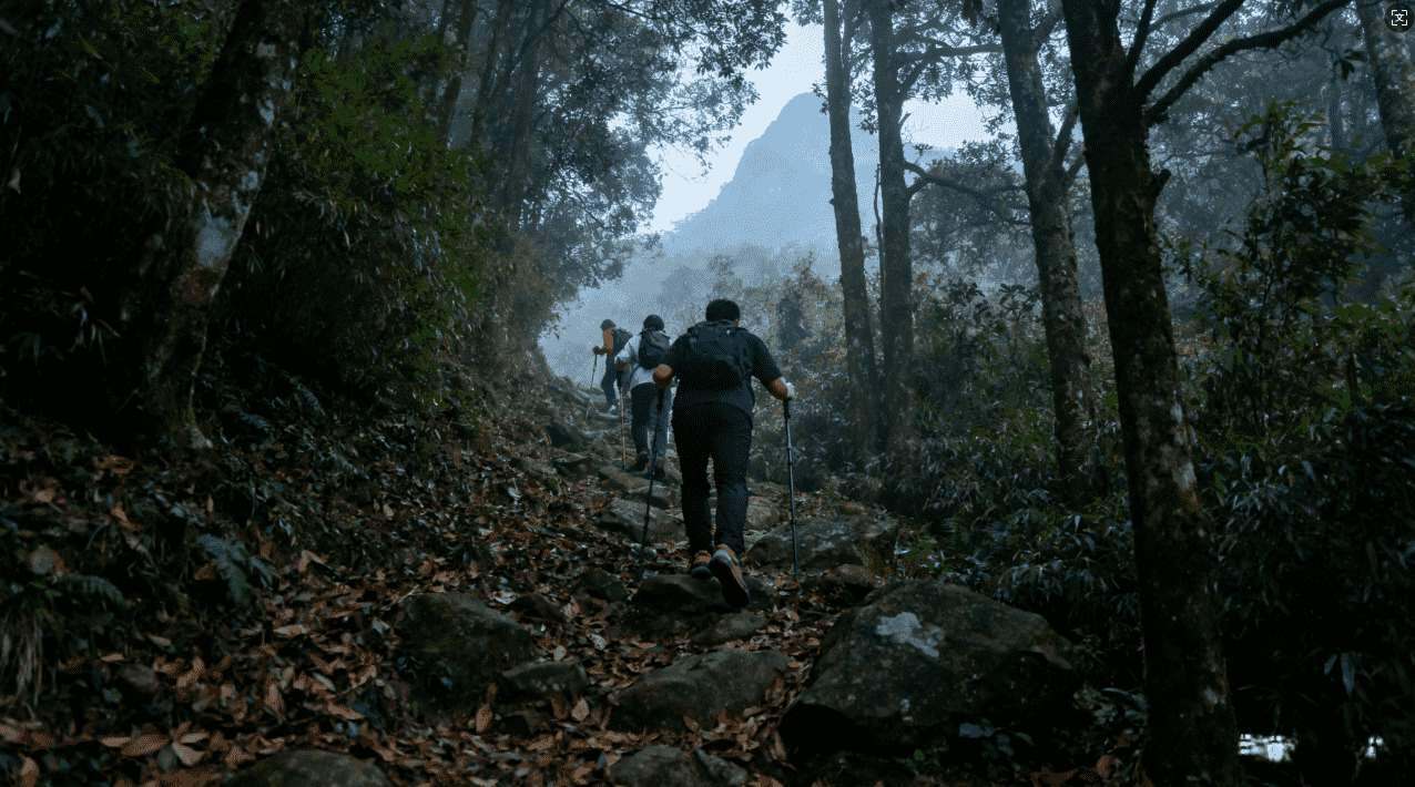 飞机猫咪加速器：全面提升网络速度的最佳解决方案